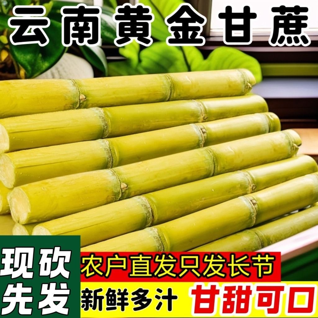 云南黄金甘蔗当季新鲜脆甜黄皮甘蔗9斤整箱包邮现砍中段黄皮甘蔗3