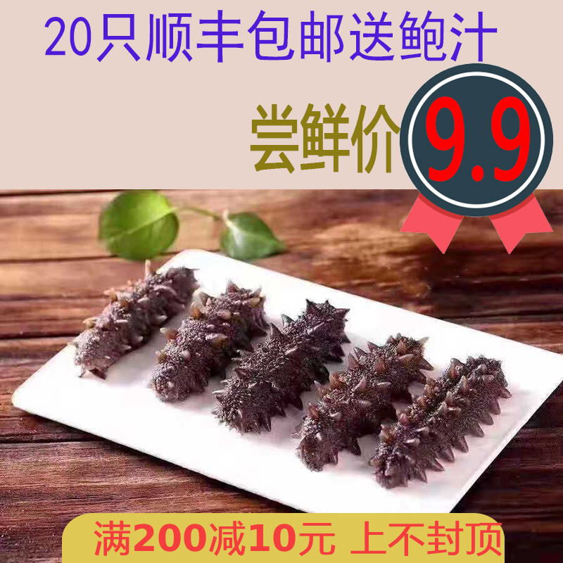 大连长海野生即食海参单个装辽参刺参单只鲜活孕妇食用新鲜冷蒸