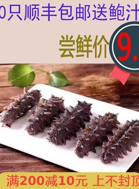 辽参野生单个装孕妇新鲜即食海参