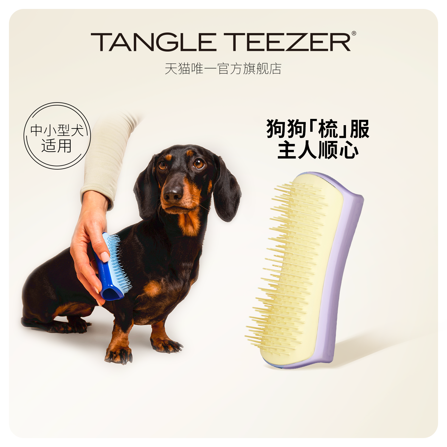TangleTeezer英国mini迷你款宠物用梳子梳浮毛鬃毛顺毛开结xk