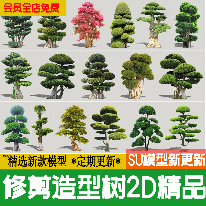 中式庭院花园修剪造型树观赏松树盆景景观植物草图大师SU模型素材