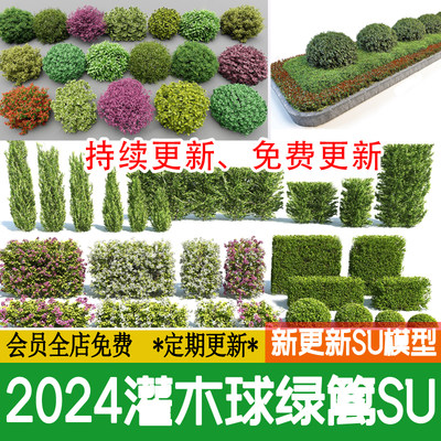 灌木球方形球形植物绿植花坛绿篱隔离绿化带灌木丛草图大师SU模型