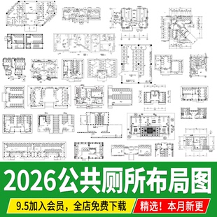 公共厕所卫生间乡村公厕平面布置图方案设计坑位布局图CAD施工图