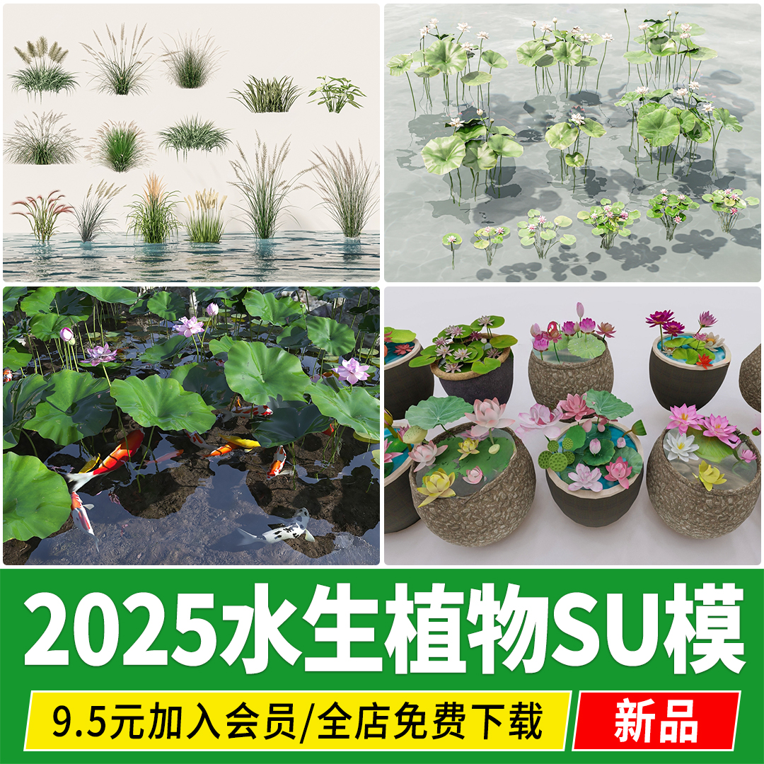 水生 植物 鱼池生态湿地滨水公园池塘睡莲荷花荷叶菖蒲草本su模型