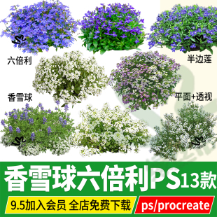 香雪球png六倍利半边莲翠蝶花psd无背景ps素材procreate文件植物
