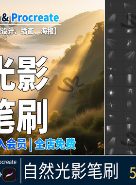 Procreate笔刷光影光斑逼真阳光照散射漏光线闪亮阴影光束PS画笔