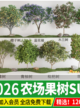 农场庭院果树3d植物枇杷桃树柚子金钱橘金桔石榴甜橙子苹果su模型