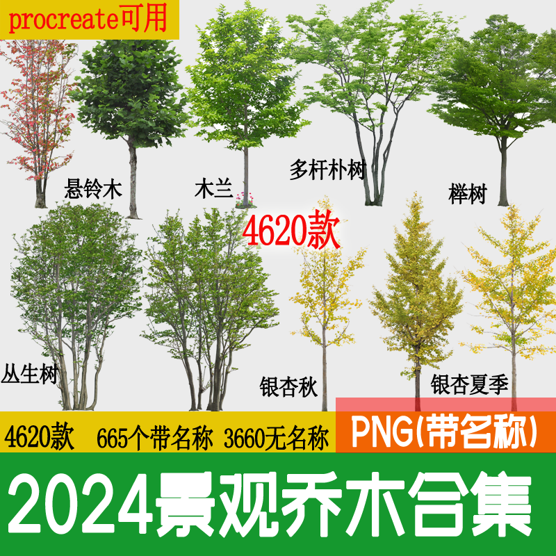 园林景观乔木 ps素材PNG免抠常用树木植物效果图后期PSD常绿小乔-封面