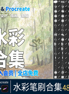ps笔刷水彩ipad手绘板绘日系动漫水墨水彩颜料晕染procreate笔刷