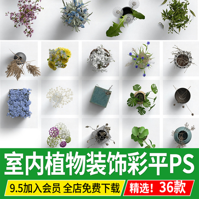室内植物装饰顶视图彩平PSD免扣平面图桌面盆栽绿植彩平图PS素材