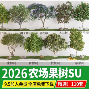 农场庭院果树3d植物枇杷桃树柚子金钱橘金桔石榴甜橙子苹果su模型
