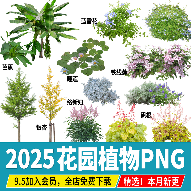 花园植物PNG庭院景观蓝雪花风车茉莉天门冬铁线莲PSD免扣ps素材