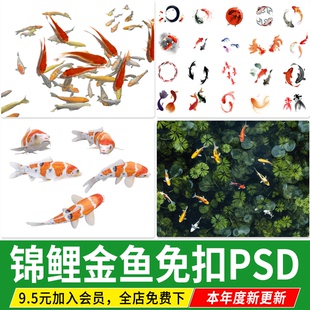 锦鲤金鱼池塘中国水墨莲花池水面荷花池平面彩平图PSD免扣PS素材