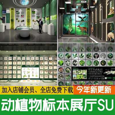 动物植物标本科普展厅展示墙昆虫自然生态展览馆草图大师SU模型