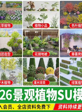 园林景观植物庭院三维树木3D乔木灌木地被组合花境花草花卉SU模型