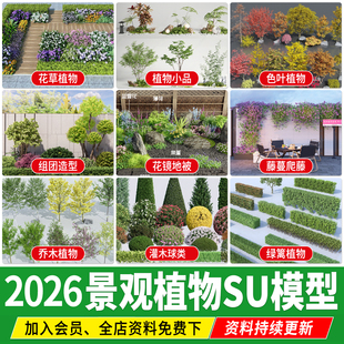 园林景观植物庭院三维树木3D乔木灌木地被组合花境花草花卉SU模型