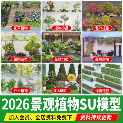 园林景观植物庭院三维树木3D乔木灌木地被组合花境花草花卉SU模型