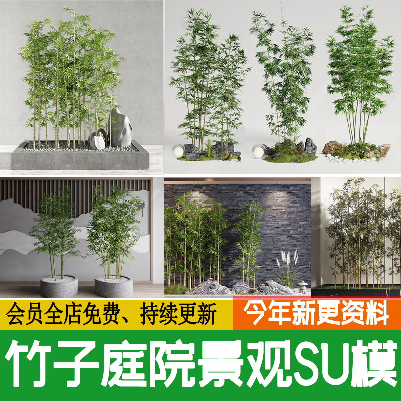 园林竹子禅意新中式日式庭院植物盆栽金镶玉竹丛罗汉竹院子SU模型