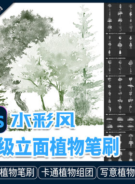 植物立面分析图水彩风格手绘水墨风高级树木乔木灌木立面图ps笔刷