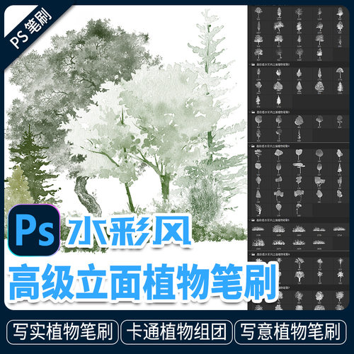 植物立面分析图水彩风格手绘水墨风高级树木乔木灌木立面图ps笔刷