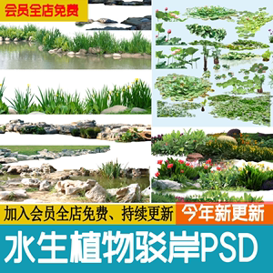 水生植物湿地滨水公园效果图荷花睡莲菖蒲驳岸芦苇ps免扣psd素材