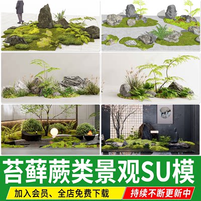 蕨类植物苔藓耐阴耐荫庭院日式园林景观小品石头堆草图大师SU模型