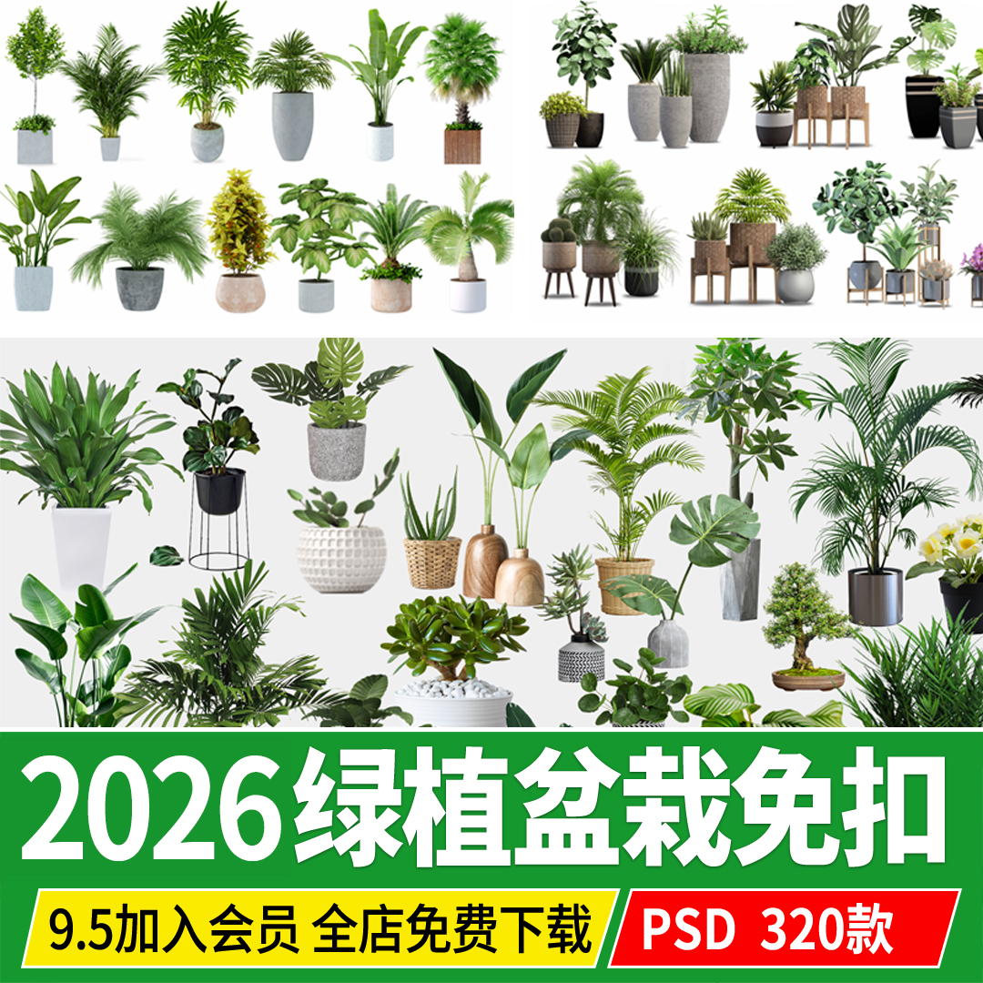 室内盆栽绿植花盆植物组合现代简约客厅摆件免抠ps素材psd免抠图