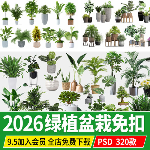 室内盆栽绿植花盆植物组合现代简约客厅摆件免抠ps素材psd免抠图