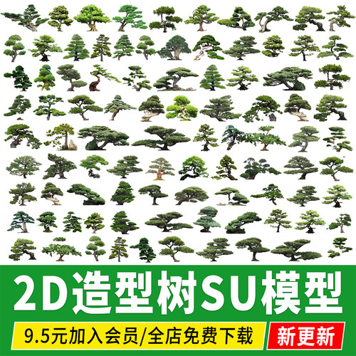 中式庭院花园修剪造型树观赏松树盆景景观植物草图大师SU模型素材