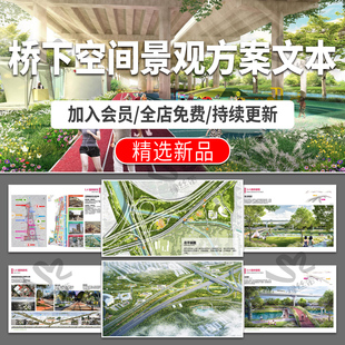 桥下城市空间改造提升公园景观案例分析效果图片项目方案设计文本