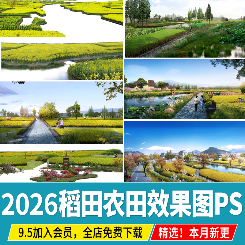 美丽乡村田园荷塘稻田农田花田菜地农村景观psd效果图后期ps素材