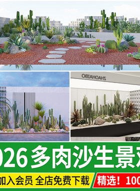 热带多肉植物组合搭配沙生庭院花园室内沙漠景观造景su模型素材库