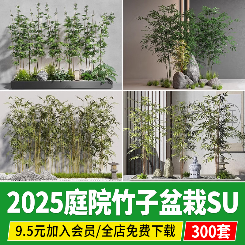 园林竹子禅意新中式日式庭院植物盆栽金镶玉竹丛罗汉竹院子SU模型
