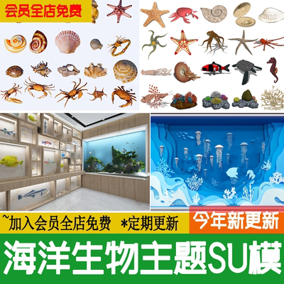 海洋生物主题贝壳海螺扇贝海星螃蟹摆件珊瑚水母草图大师SU模型