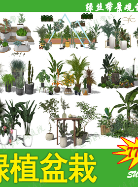 现代北欧咖啡厅书吧办公室室内阳台植物绿植盆栽草图大师SU模型库