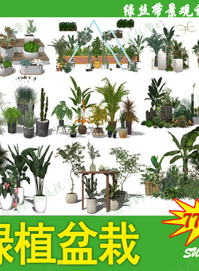 现代北欧咖啡厅书吧办公室室内阳台植物绿植盆栽草图大师SU模型库