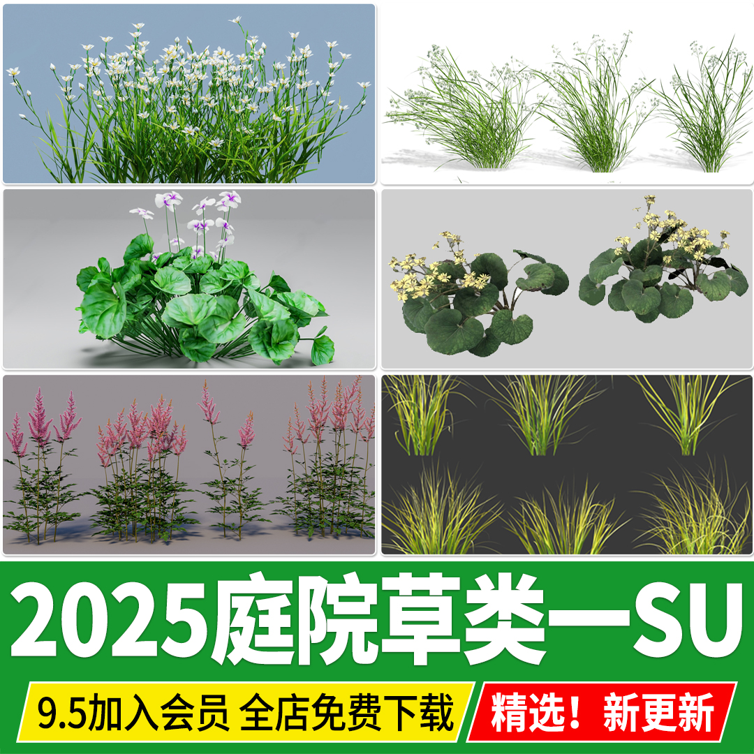 美女樱金叶苔草石菖蒲络新妇葱兰蜜糖风车草大吴风草熊猫堇SU模型