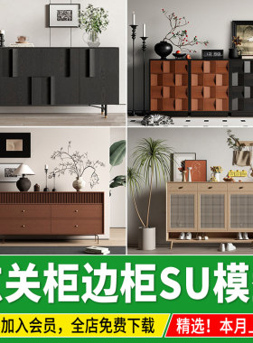 玄关柜边柜装饰柜草图大师现代轻奢侘寂挂画摆件组合端景台SU模型