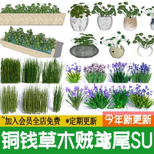 鱼塘锦鲤鱼池水钵小水景铜钱草水生植物草图大师su模型设计素材库