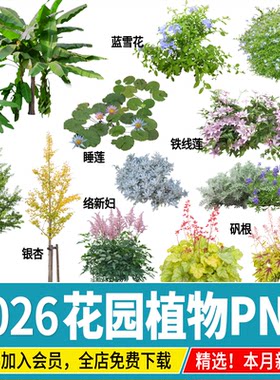 花园植物PNG庭院景观蓝雪花风车茉莉天门冬铁线莲PSD免扣ps素材