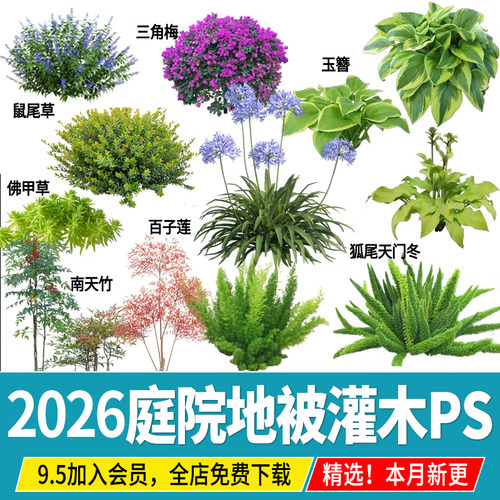 庭院植物灌木地被ps免扣素材psd花园玉簪矾根百子莲南天竹蕨苔草