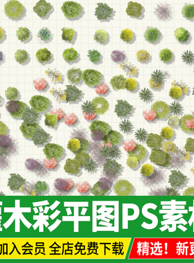 景观庭院平面树木灌木小乔木公园地被图例ps植物素材psd彩平图png