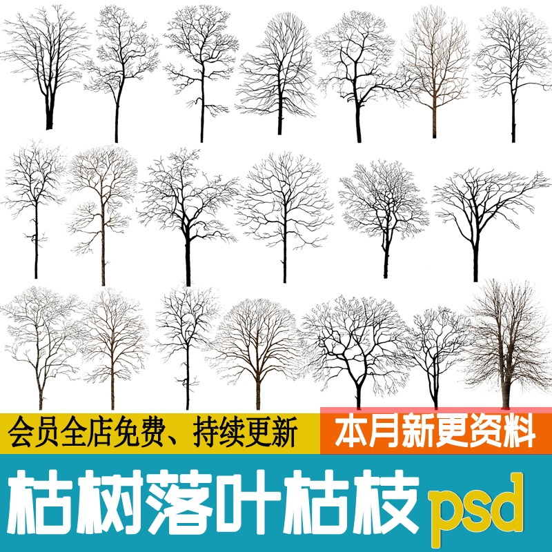 枯树PS素材落叶冬季效果图后期乔木光秃树干树枝植物psd免扣配景