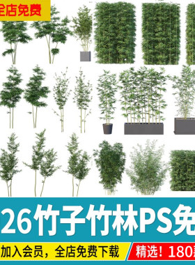 竹子竹林园林景观竹ps素材PNG免抠效果图配景挂角新中式庭院盆栽