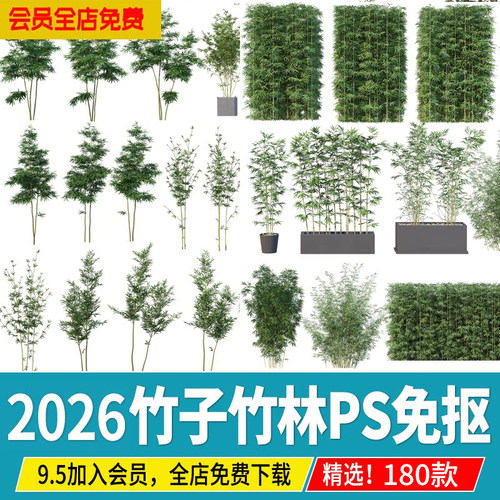 竹子竹林园林景观竹ps素材PNG免抠效果图配景挂角新中式庭院盆栽