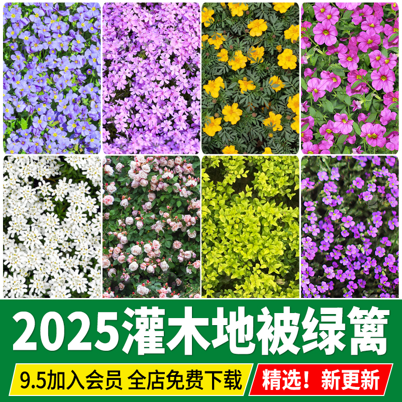 灌木地被花卉绿篱高清无缝花丛植被花海3D彩平图PS平面SU材质贴图