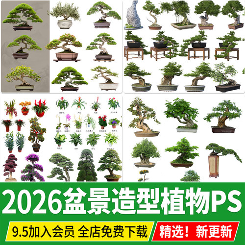 盆景造型植物院子盆栽摆件黑松罗汉松崖柏桩效果图PSD免扣ps素材