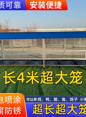 尖顶鸡笼室外防黄鼠狼饲养笼
