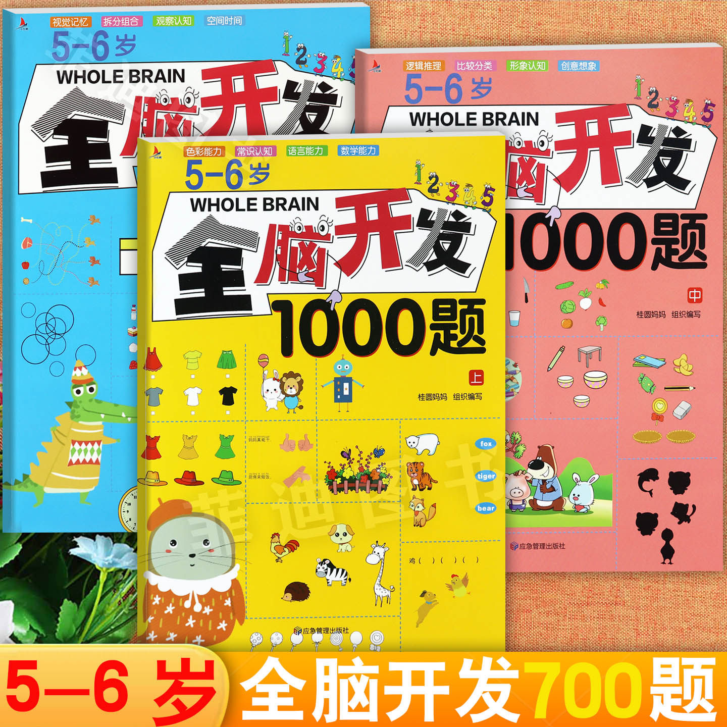 5-6岁全脑开发1000题宝宝左右脑开发益智游戏思维训练题幼小衔接举一反三新蒙氏儿童潜能开发黄金周思维拓展练习题一日一练