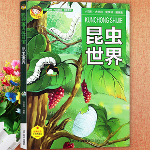 昆虫世界小百科全书童眼观世界识天下儿童趣味科普馆绘本常识聪颖宝贝中国少年儿童十万个为什么揭秘昆虫图签365启蒙早教认知书籍